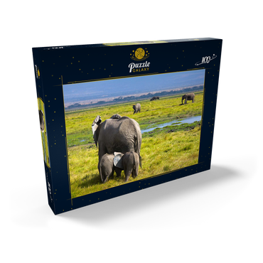Elefanten (Loxodonta africana)  im Amboseli-Nationalpark 100 Puzzle Schachtel Ansicht2