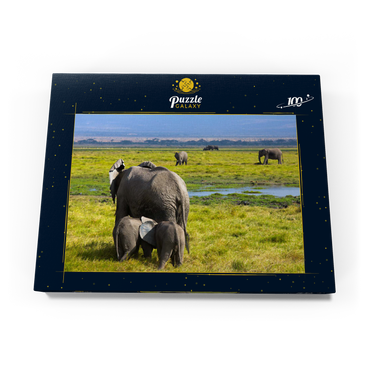 Elefanten (Loxodonta africana)  im Amboseli-Nationalpark 100 Puzzle Schachtel Ansicht3