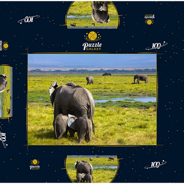 Elefanten (Loxodonta africana)  im Amboseli-Nationalpark 100 Puzzle Schachtel 3D Modell