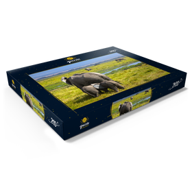 Darstellung des Puzzle Motivs Elefanten (Loxodonta africana)  im Amboseli-Nationalpark - Puzzleteile: 200