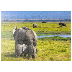 Darstellung des Puzzle Motivs Elefanten (Loxodonta africana)  im Amboseli-Nationalpark - Puzzleteile: 200