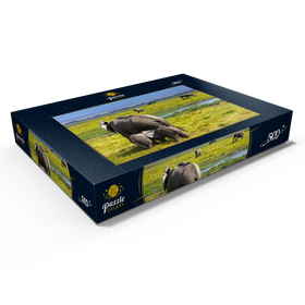 Darstellung des Puzzle Motivs Elefanten (Loxodonta africana)  im Amboseli-Nationalpark - Puzzleteile: 500