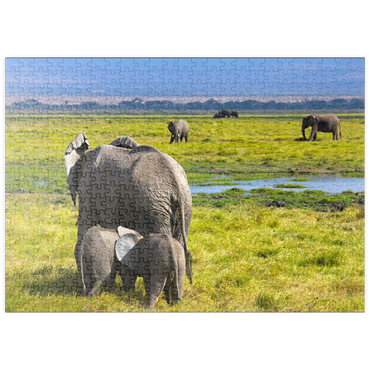 puzzleplate Elefanten (Loxodonta africana)  im Amboseli-Nationalpark 500 Puzzle