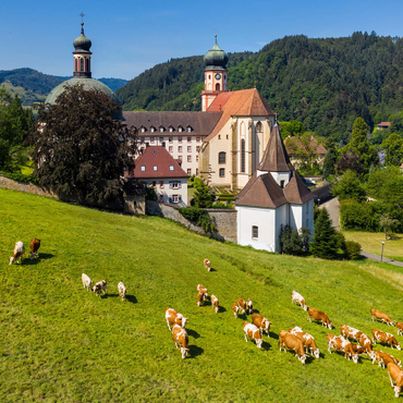 Kloster St. Trudpert im Münstertal im südlichen Schwarzwald 100 Puzzle 3D Modell