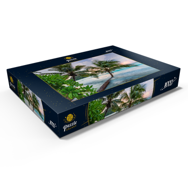Abend an der Anse Volbert, Insel Praslin, Seychellen 1000 Puzzle Schachtel Ansicht1