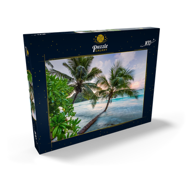 Abend an der Anse Volbert, Insel Praslin, Seychellen 100 Puzzle Schachtel Ansicht2