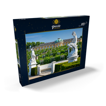 Französischer Garten mit dem Schloss Sanssouci und den Weinbergterrassen im Park 100 Puzzle Schachtel Ansicht2