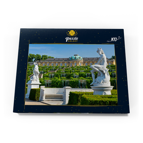Französischer Garten mit dem Schloss Sanssouci und den Weinbergterrassen im Park 100 Puzzle Schachtel Ansicht3