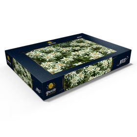 Alternative Darstellung des Puzzle-Motivs Edelweiß (Leontopodium) – Puzzleteile: 1000