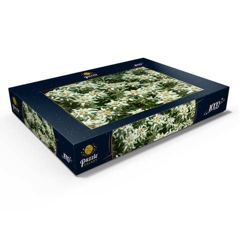 Edelweiß (Leontopodium) 1000 Puzzle Schachtel Ansicht1