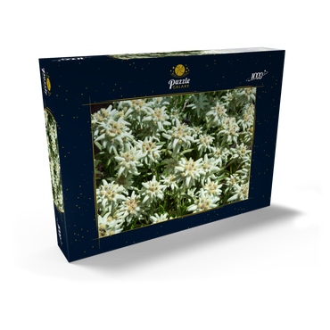 Edelweiß (Leontopodium) 1000 Puzzle Schachtel Ansicht2