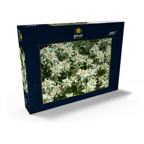 Edelweiß (Leontopodium) 1000 Puzzle Schachtel Ansicht2