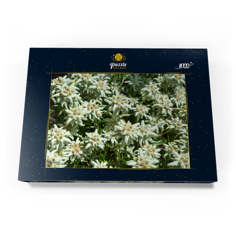 Edelweiß (Leontopodium) 1000 Puzzle Schachtel Ansicht3