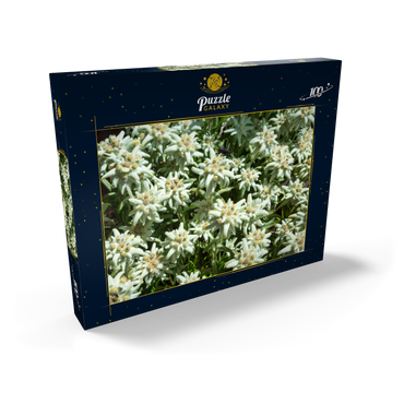 Edelweiß (Leontopodium) 100 Puzzle Schachtel Ansicht2