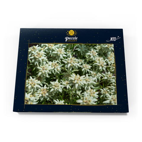 Edelweiß (Leontopodium) 100 Puzzle Schachtel Ansicht3