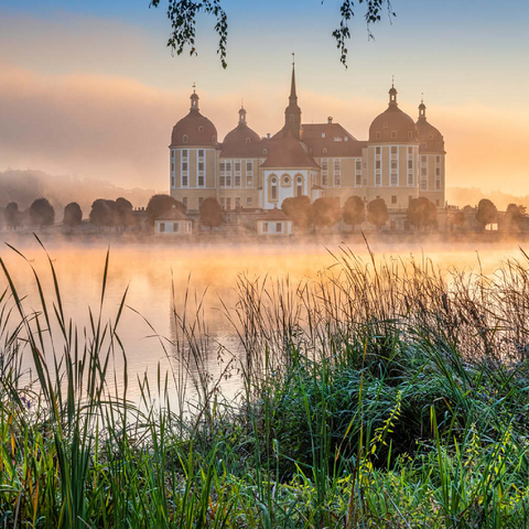 Morgenstimmung am Schlossteich mit dem Barockschloss nahe Dresden 100 Puzzle 3D Modell