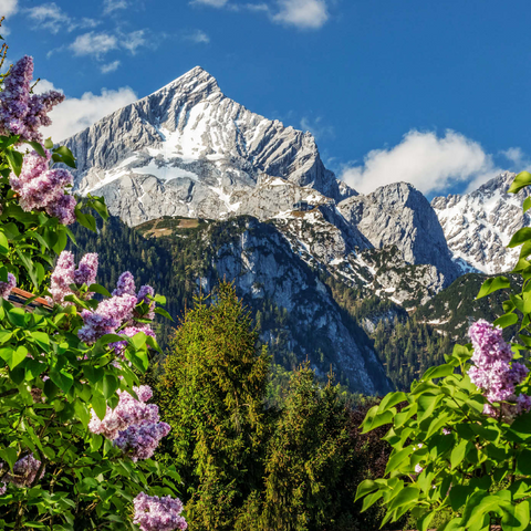 Alpspitze (2628m) mit blühendem Flieder, Garmisch-Partenkirchen, Oberbayern, Bayern, Deutschland 1000 Puzzle 3D Modell