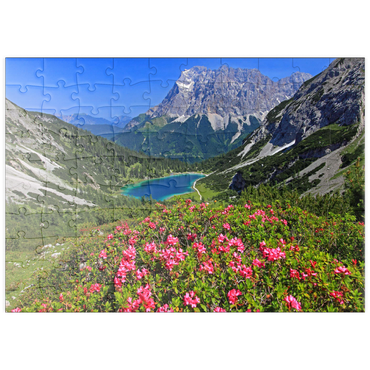 puzzleplate Blühende Alpenrosen bei der Coburger Hütte gegen Seebensee (1657m) und Zugspitzgruppe (2962m) bei Ehrwald 100 Puzzle