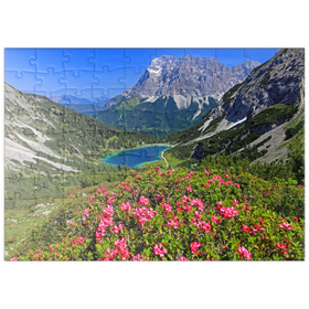 Darstellung des Puzzle Motivs Blühende Alpenrosen bei der Coburger Hütte gegen Seebensee und Zugspitzgruppe - Puzzleteile: 100
