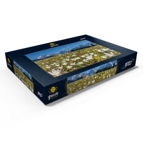Alternative Darstellung des Puzzle-Motivs Krokuswiese am Geroldsee bei Gerold mit Blick zum Karwendelgebirge im Frühling – Puzzleteile: 1000