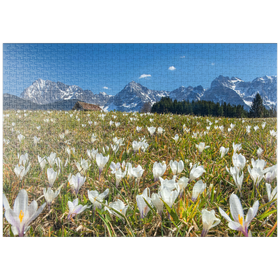 Darstellung des Puzzle-Motivs Krokuswiese am Geroldsee bei Gerold mit Blick zum Karwendelgebirge im Frühling – Puzzleteile: 1000