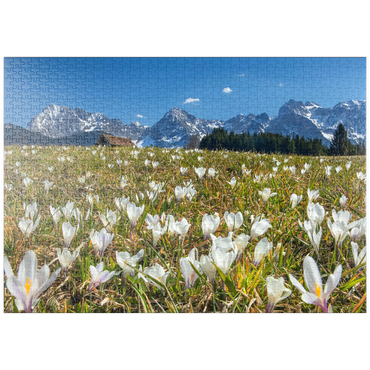 puzzleplate Krokuswiese am Geroldsee bei Gerold mit Blick zum Karwendelgebirge im Frühling 1000 Puzzle