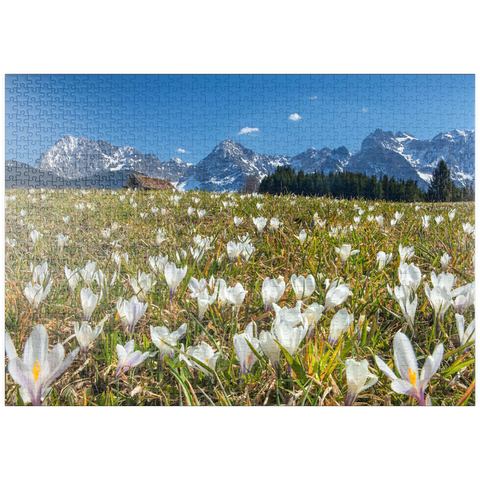 puzzleplate Krokuswiese am Geroldsee bei Gerold mit Blick zum Karwendelgebirge im Frühling 1000 Puzzle