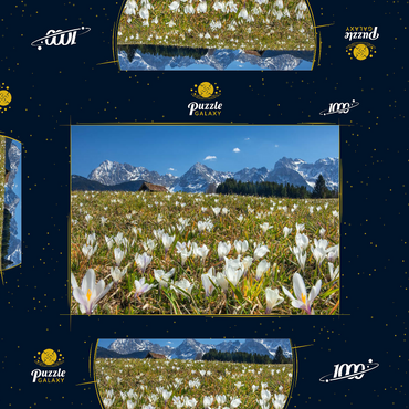Krokuswiese am Geroldsee bei Gerold mit Blick zum Karwendelgebirge im Frühling 1000 Puzzle Schachtel 3D Modell