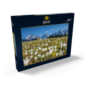 Krokuswiese am Geroldsee bei Gerold mit Blick zum Karwendelgebirge im Frühling 100 Puzzle Schachtel Ansicht2