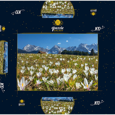 Krokuswiese am Geroldsee bei Gerold mit Blick zum Karwendelgebirge im Frühling 100 Puzzle Schachtel 3D Modell