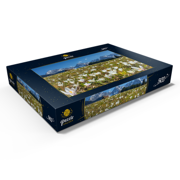 Krokuswiese am Geroldsee bei Gerold mit Blick zum Karwendelgebirge im Frühling 500 Puzzle Schachtel Ansicht1