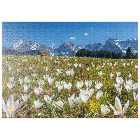 puzzleplate Krokuswiese am Geroldsee bei Gerold mit Blick zum Karwendelgebirge im Frühling 500 Puzzle