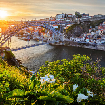 Blick über den Fluss Douro zur Altstadt Ribeira von Porto 500 Puzzle 3D Modell