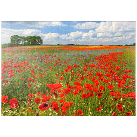 Darstellung des Puzzle Motivs Mohnblumenfeld bei Schwerin - Puzzleteile: 1000
