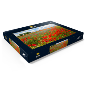 Darstellung des Puzzle Motivs Mohnblumenfeld bei Schwerin - Puzzleteile: 100