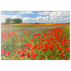 Darstellung des Puzzle Motivs Mohnblumenfeld bei Schwerin - Puzzleteile: 100
