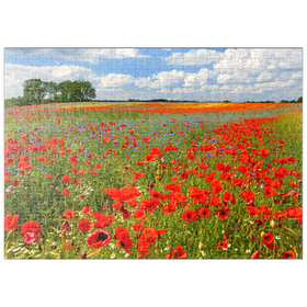 Darstellung des Puzzle Motivs Mohnblumenfeld bei Schwerin - Puzzleteile: 500