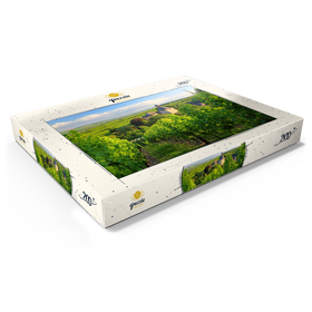 Alternative Darstellung des Puzzle-Motivs Schloss Vollrads – Puzzleteile: 200