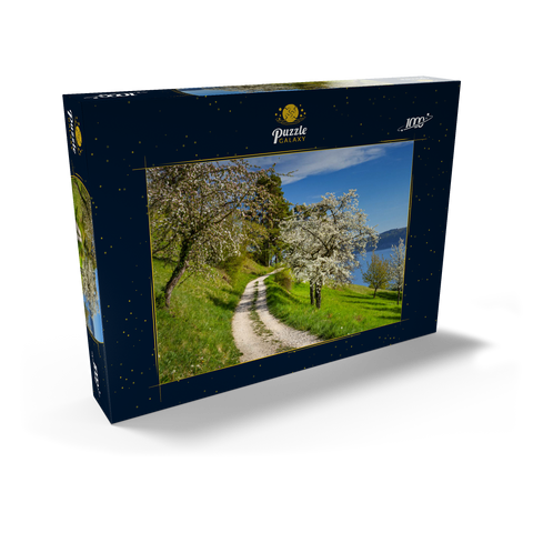 Blütenweg zwischen Ludwigshafen und Sipplingen zur Baumblüte im Frühling 1000 Puzzle Schachtel Ansicht2