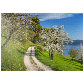 Darstellung des Puzzle-Motivs Blütenweg zwischen Ludwigshafen und Sipplingen zur Baumblüte im Frühling – Puzzleteile: 1000
