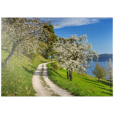 puzzleplate Blütenweg zwischen Ludwigshafen und Sipplingen zur Baumblüte im Frühling 1000 Puzzle