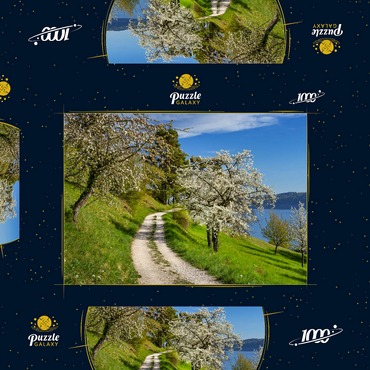 Blütenweg zwischen Ludwigshafen und Sipplingen zur Baumblüte im Frühling 1000 Puzzle Schachtel 3D Modell