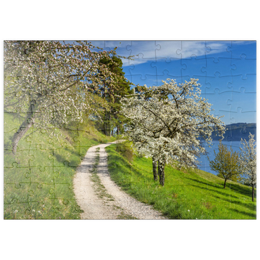 puzzleplate Blütenweg zwischen Ludwigshafen und Sipplingen zur Baumblüte im Frühling 100 Puzzle
