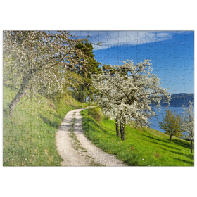 Darstellung des Puzzle-Motivs Blütenweg zwischen Ludwigshafen und Sipplingen zur Baumblüte im Frühling – Puzzleteile: 200