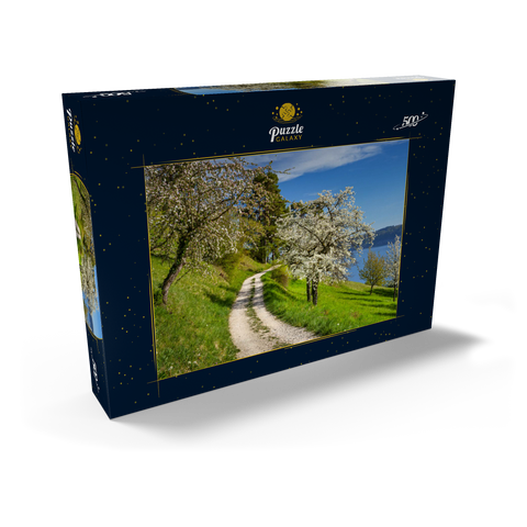 Blütenweg zwischen Ludwigshafen und Sipplingen zur Baumblüte im Frühling 500 Puzzle Schachtel Ansicht2