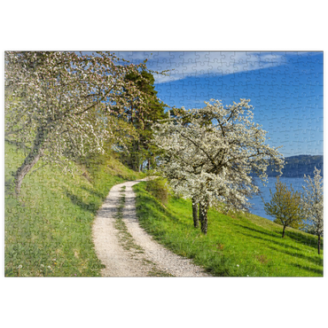 puzzleplate Blütenweg zwischen Ludwigshafen und Sipplingen zur Baumblüte im Frühling 500 Puzzle
