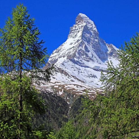 Blick zum Matterhorn (4478m), Zermatt, Kanton Wallis 1000 Puzzle 3D Modell