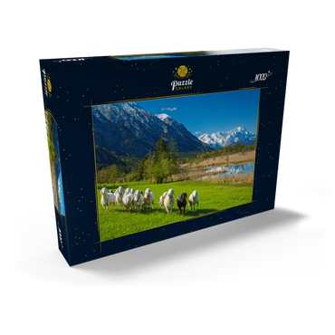 Schafe an den Sieben Quellen gegen Estergebirge und Zugspitzgruppe (2962m), Oberbayern 1000 Puzzle Schachtel Ansicht2