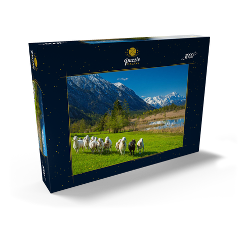 Schafe an den Sieben Quellen gegen Estergebirge und Zugspitzgruppe (2962m), Oberbayern 1000 Puzzle Schachtel Ansicht2