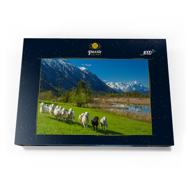 Schafe an den Sieben Quellen gegen Estergebirge und Zugspitzgruppe (2962m), Oberbayern 1000 Puzzle Schachtel Ansicht3
